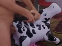 Dude has sex with a blow up cow.