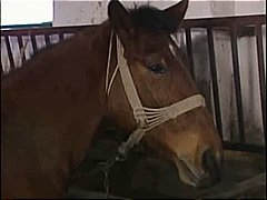 German country girl fucked in stable.